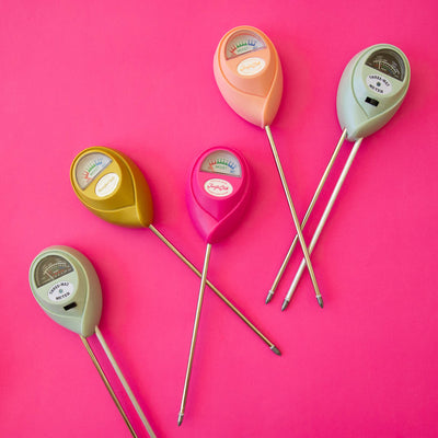 3-in-1 Moisture Meter | Jade