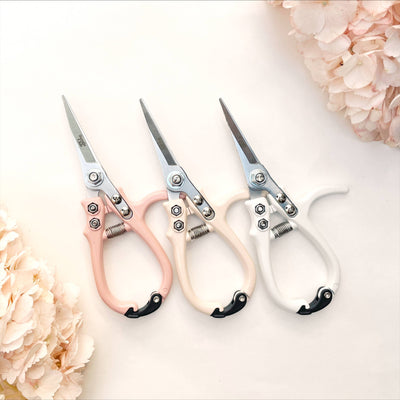 Pruning Shears