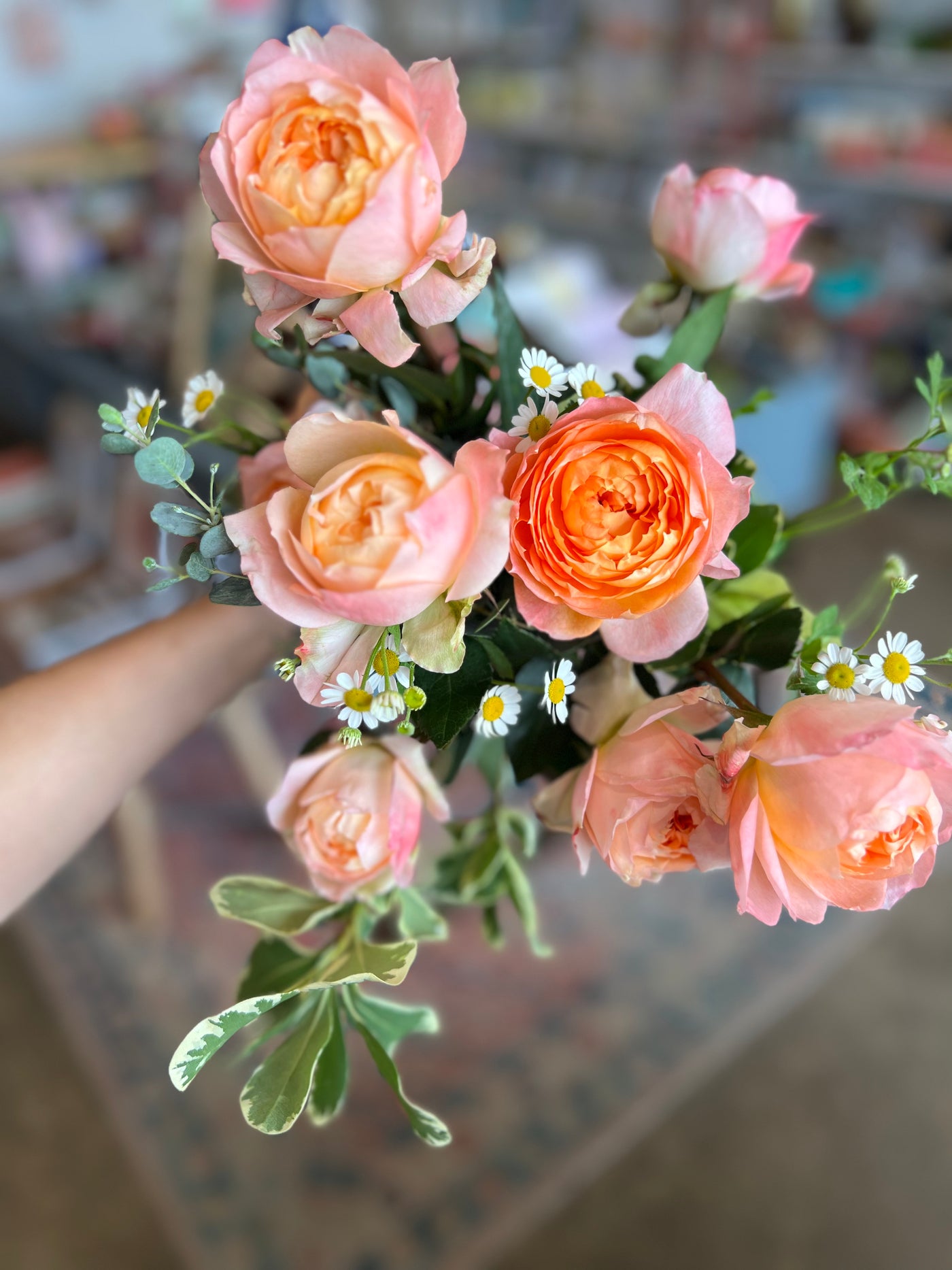 Garden Roses by the Dozen